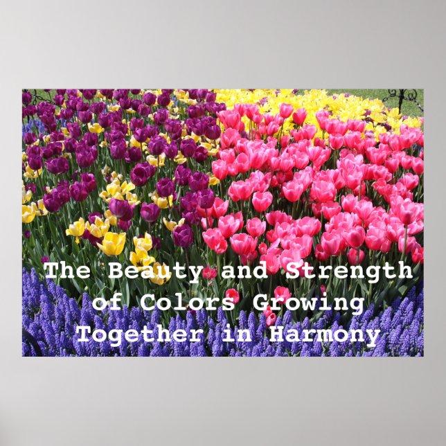 IMG_5044, The Beauty and Strength of Colours Gro.. Poster (Front)