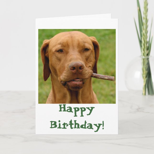 IMG_6106Fo'get About It!, Happy Birthday! Card (Front)