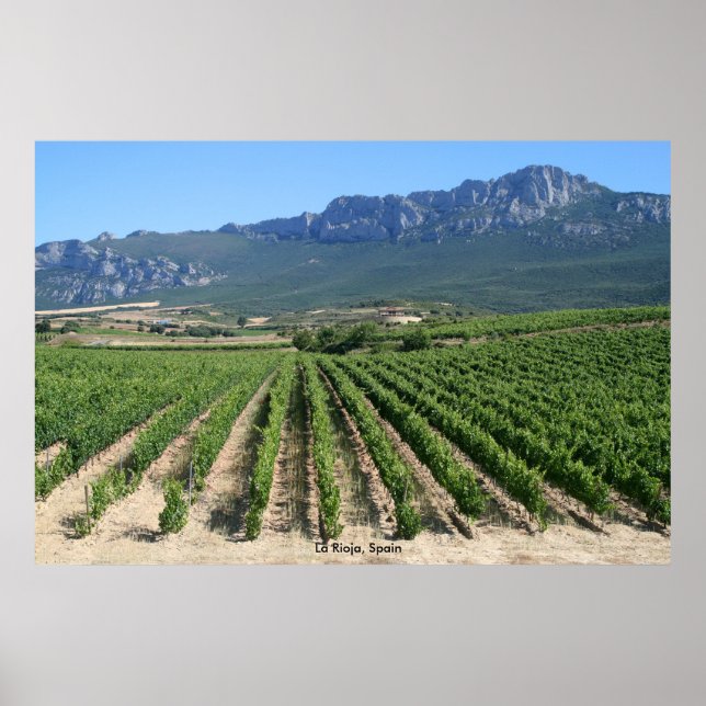 IMG_6159, La Rioja, Spain Poster (Front)