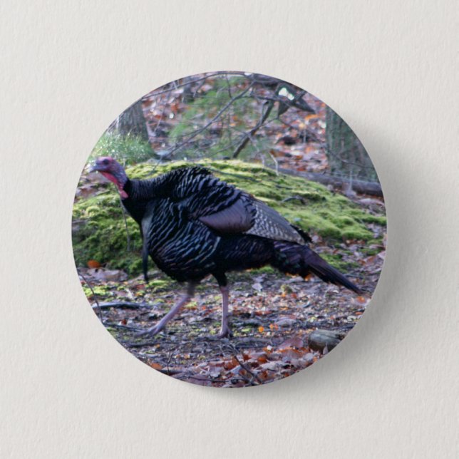 IMG_6278_edited 6 Cm Round Badge (Front)