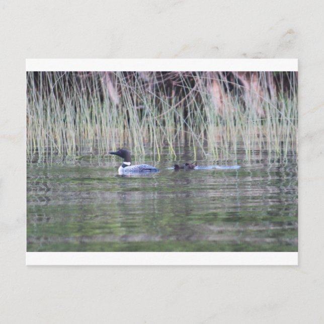 IMG_8448_1 POSTCARD (Front)