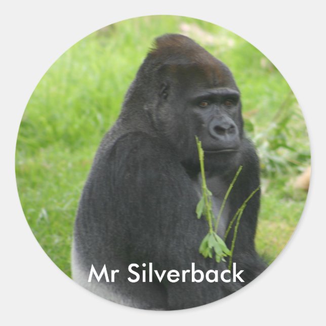 IMG_8810, Mr Silverback Classic Round Sticker (Front)