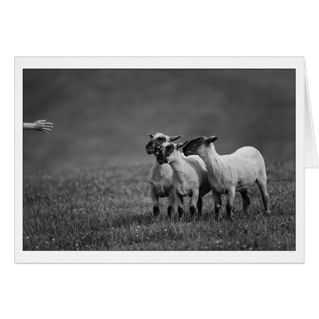 IMG_9504 copy (Front Horizontal)