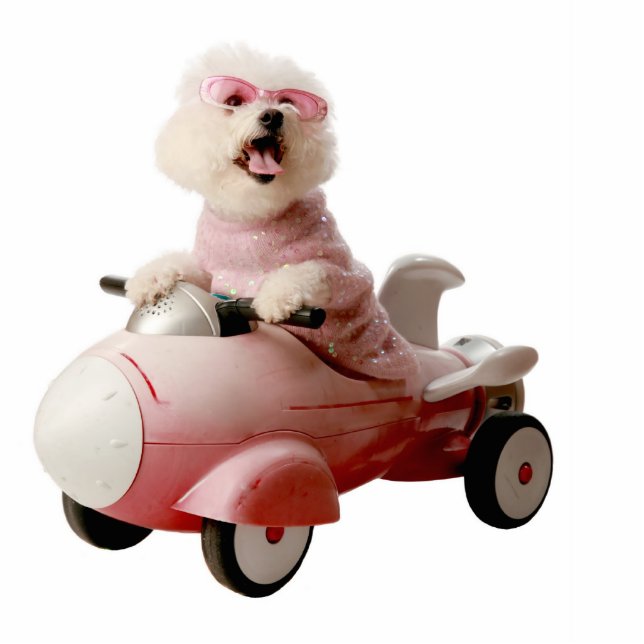 IMG_9656-F1 STANDING PHOTO SCULPTURE (Front)