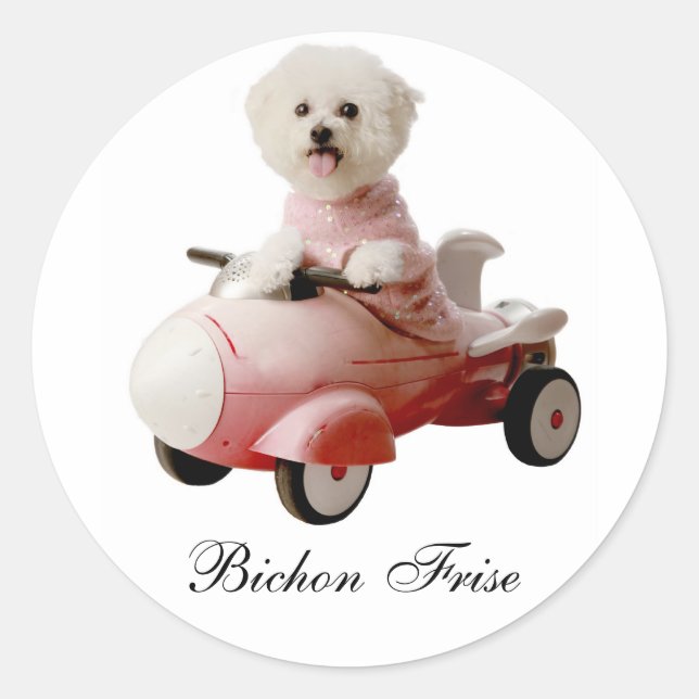 IMG_9658-F1 copy, Bichon Frise Classic Round Sticker (Front)