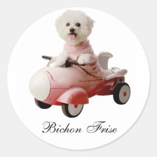 IMG_9658-F1 copy, Bichon Frise Classic Round Sticker