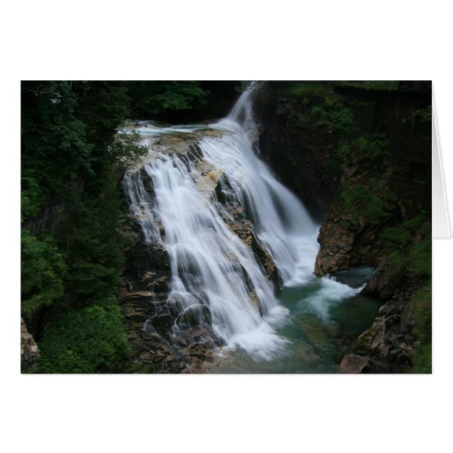 IMG_9734 (Front Horizontal)