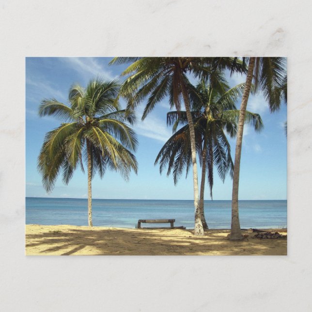 IMGP2729 POSTCARD (Front)