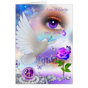 Immaculate Concept Design