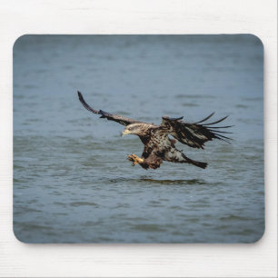 Immature Bald Eagle diving for a fish Mouse Mat