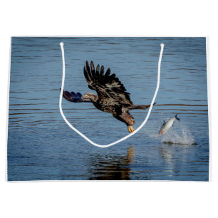 Immature Bald Eagle dropping a fish Large Gift Bag