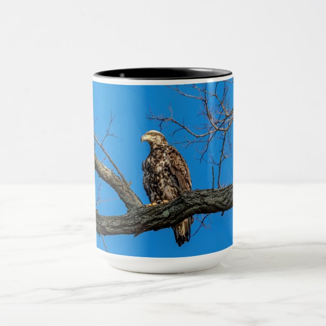 Immature Bald Eagle in Peekskill, NY Mug (Center)