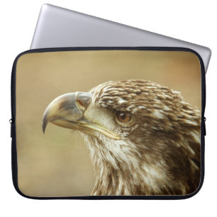 Immature Bald Eagle Laptop Sleeve