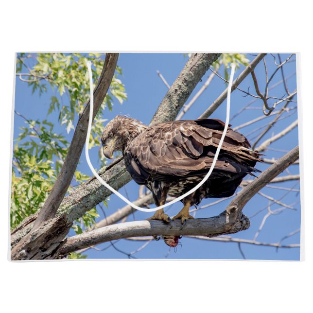Immature Bald Eagle with a Catfish Large Gift Bag (Front)
