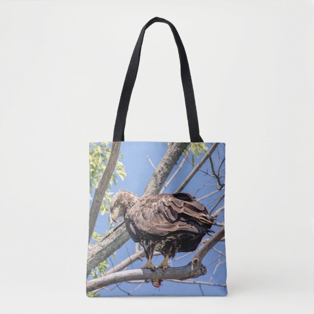 Immature Bald Eagle with a Catfish Tote Bag (Front)