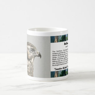 Immature Goshawk Coffee Mug