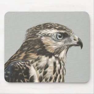 Immature Goshawk Mouse Mat