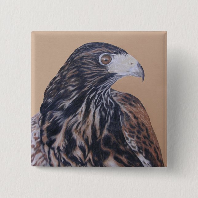 Immature Harris Hawk 15 Cm Square Badge (Front)