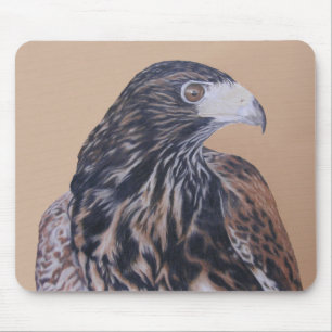 Immature Harris Hawk Mouse Mat