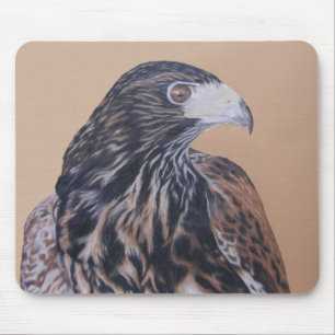 Immature Harris Hawk Mouse Mat