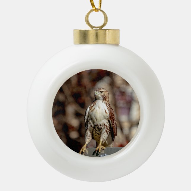 Immature Red Tailed Hawk Ceramic Ball Christmas Ornament (Front)
