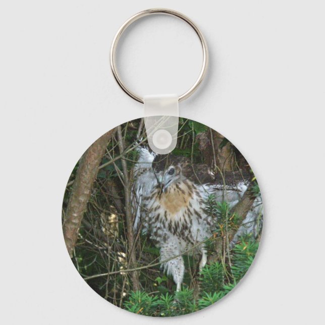 Immature Red Tailed Hawk Coordinating Items Key Ring (Front)