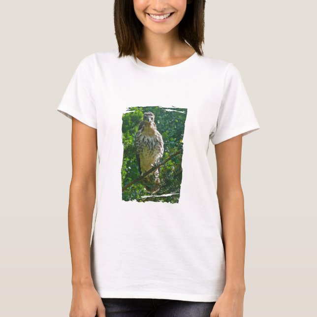 Immature Red Tailed Hawk Coordinating Items T-Shirt (Front)