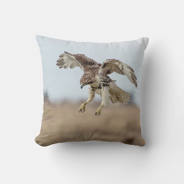 Immature Red Tailed Hawk Hovering Cushion (Front)