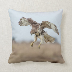 Immature Red Tailed Hawk Hovering Cushion