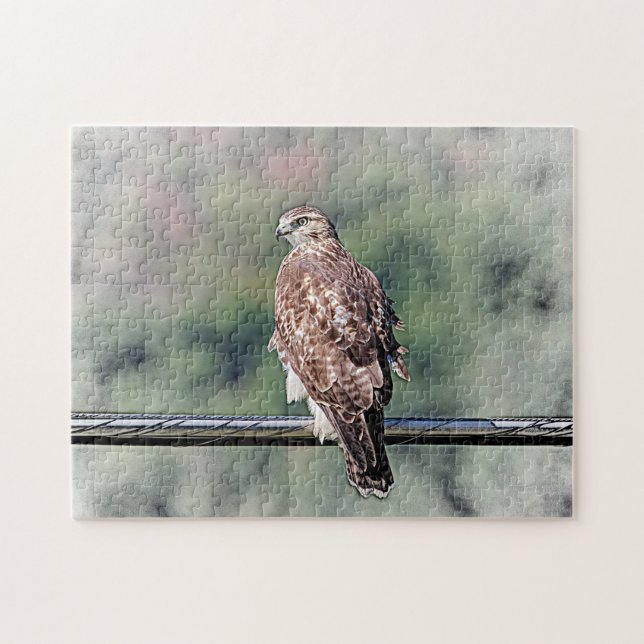 Immature Red Tailed Hawk Jigsaw Puzzle (Horizontal)
