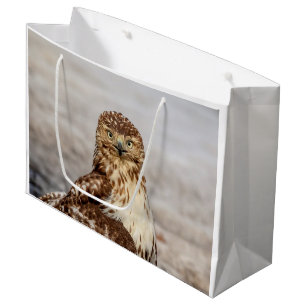 Immature Red-Tailed Hawk on the ground Large Gift Bag