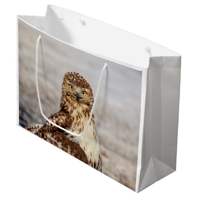 Immature Red-Tailed Hawk on the ground Large Gift Bag (Front Angled)