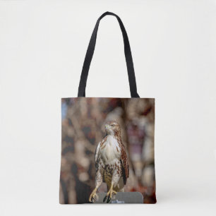 Immature Red Tailed Hawk Tote Bag