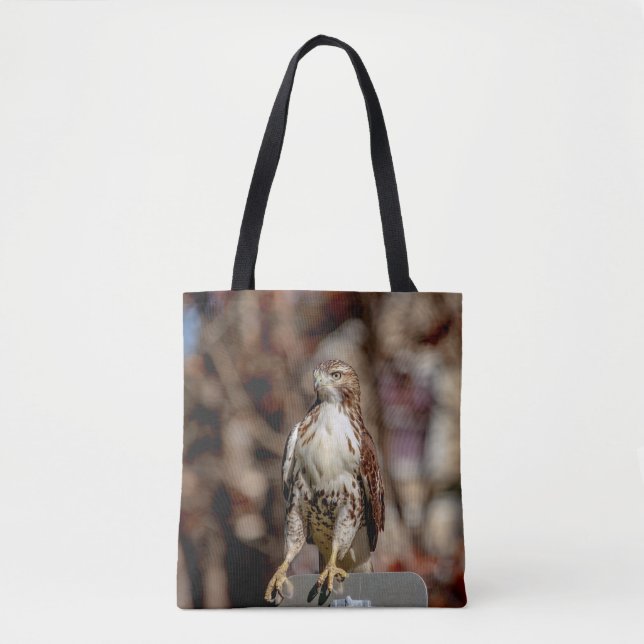Immature Red Tailed Hawk Tote Bag (Front)