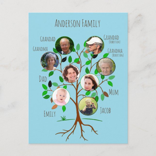 Immediate Family Photo Tree Postcard (Front)