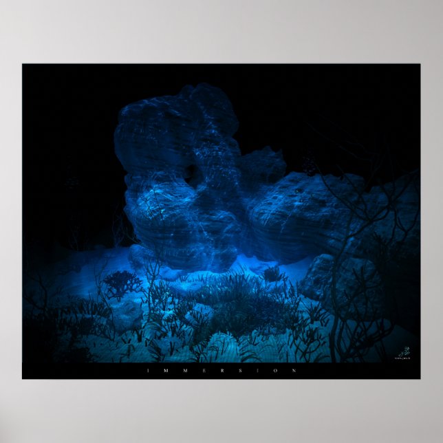 Immersion Poster (Front)