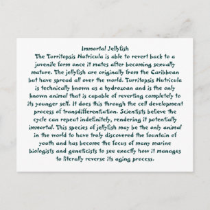 Immortal Jellyfish Postcard
