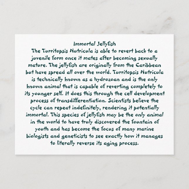 Immortal Jellyfish Postcard (Front)