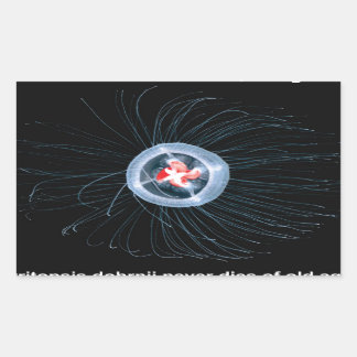 Immortal Jellyfish Rectangle Stickers