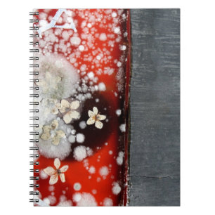 Immortality 2 notebook