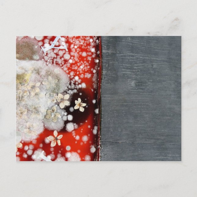 Immortality 2 postcard (Front)