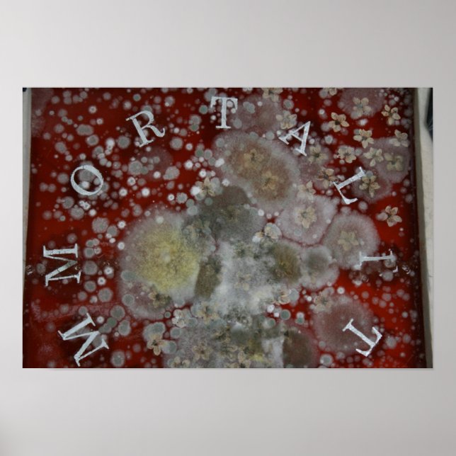 Immortality Poster (Front)