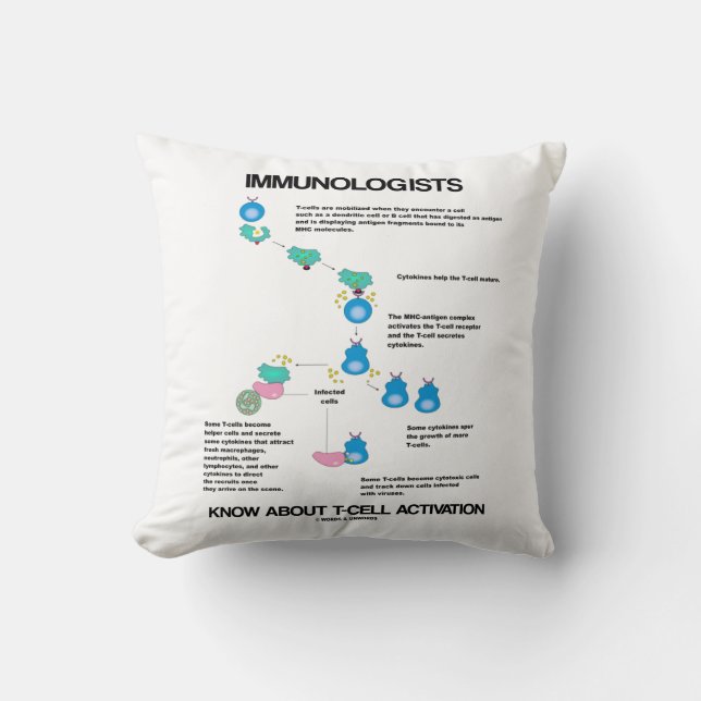 Immunologists Know About T-Cell Activation Cushion (Front)