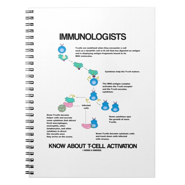 Immunologists Know About T-Cell Activation Notebook (Front)