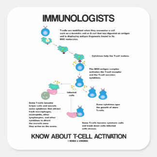 Immunologists Know About T-Cell Activation Square Sticker