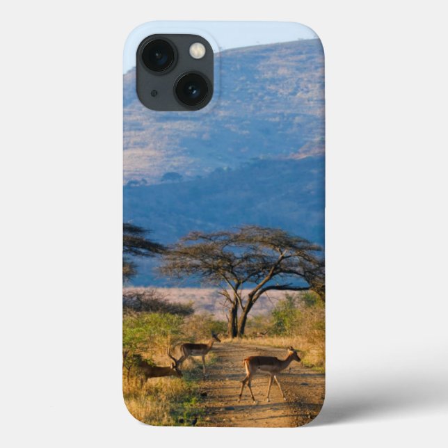 Impala (Aepyceros Melampus), Hluhluwe-Umfolozi Case-Mate iPhone Case (Back)