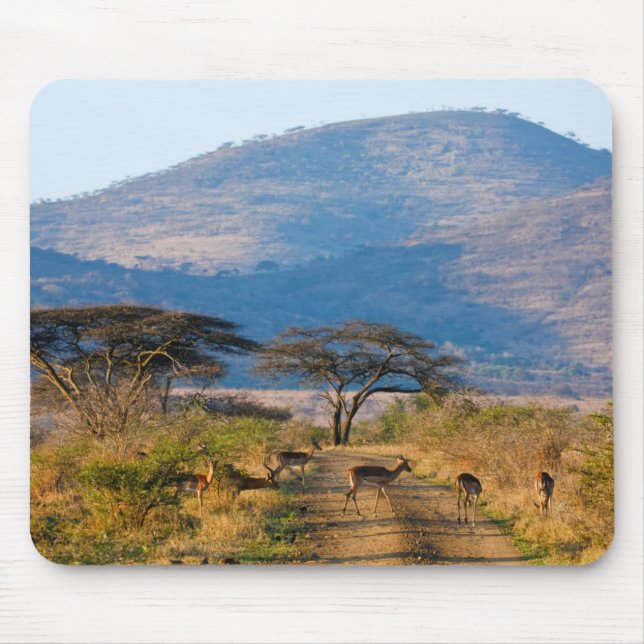 Impala (Aepyceros Melampus), Hluhluwe-Umfolozi Mouse Mat (Front)