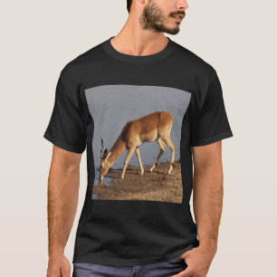Impala antelope drinking at the waterhole photo T-Shirt