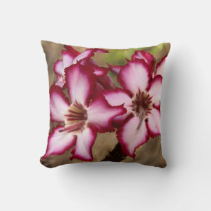 Impala Lily (Adenium Multiflorum), Kruger Cushion