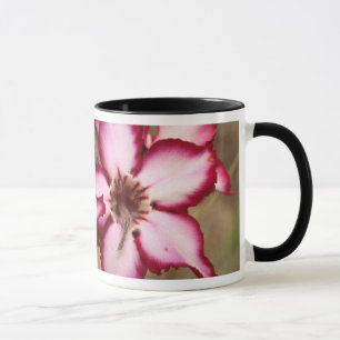 Impala Lily (Adenium Multiflorum), Kruger Mug